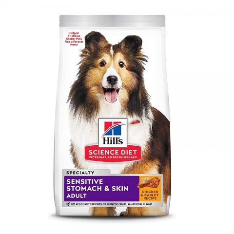 Dog